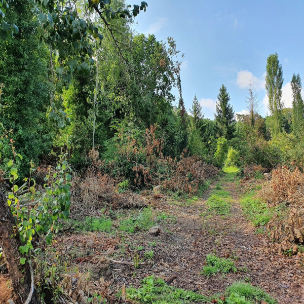 Offres de vente Terrain Itteville 91760